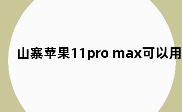 山寨苹果11pro max可以用吗